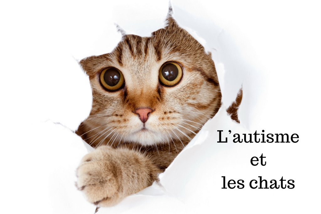 L’autisme et les chats