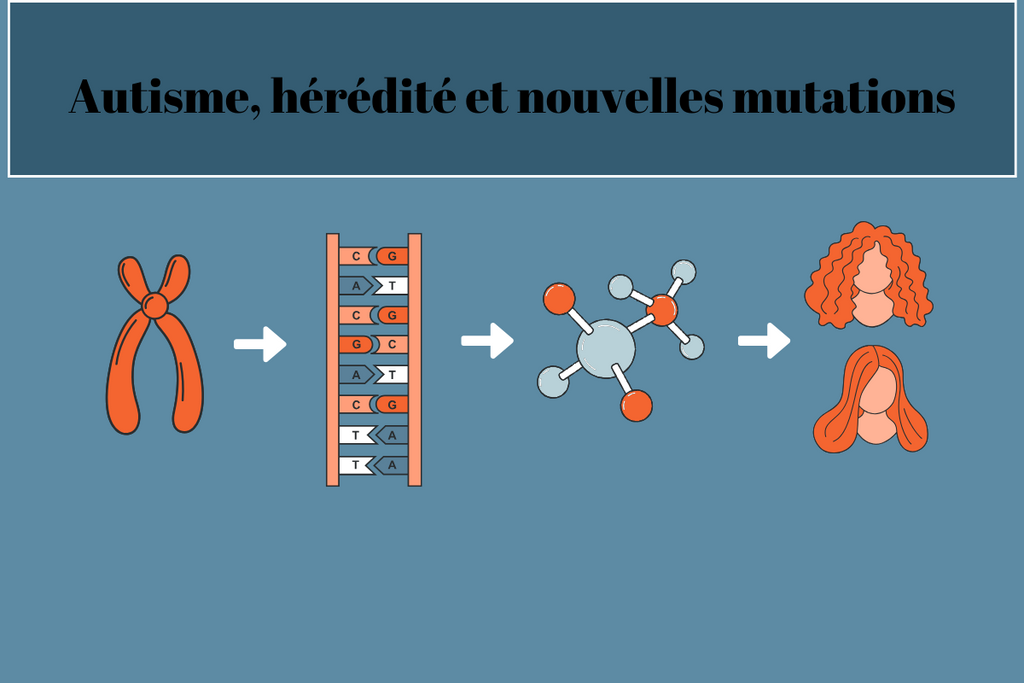 Autismus, Vererbung und neue Mutationen