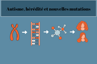 Autisme, hérédité et nouvelles mutations